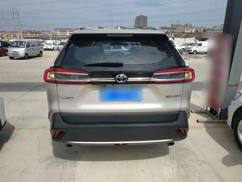 Wildlander 2.0 L CVT 2 WD Luxury