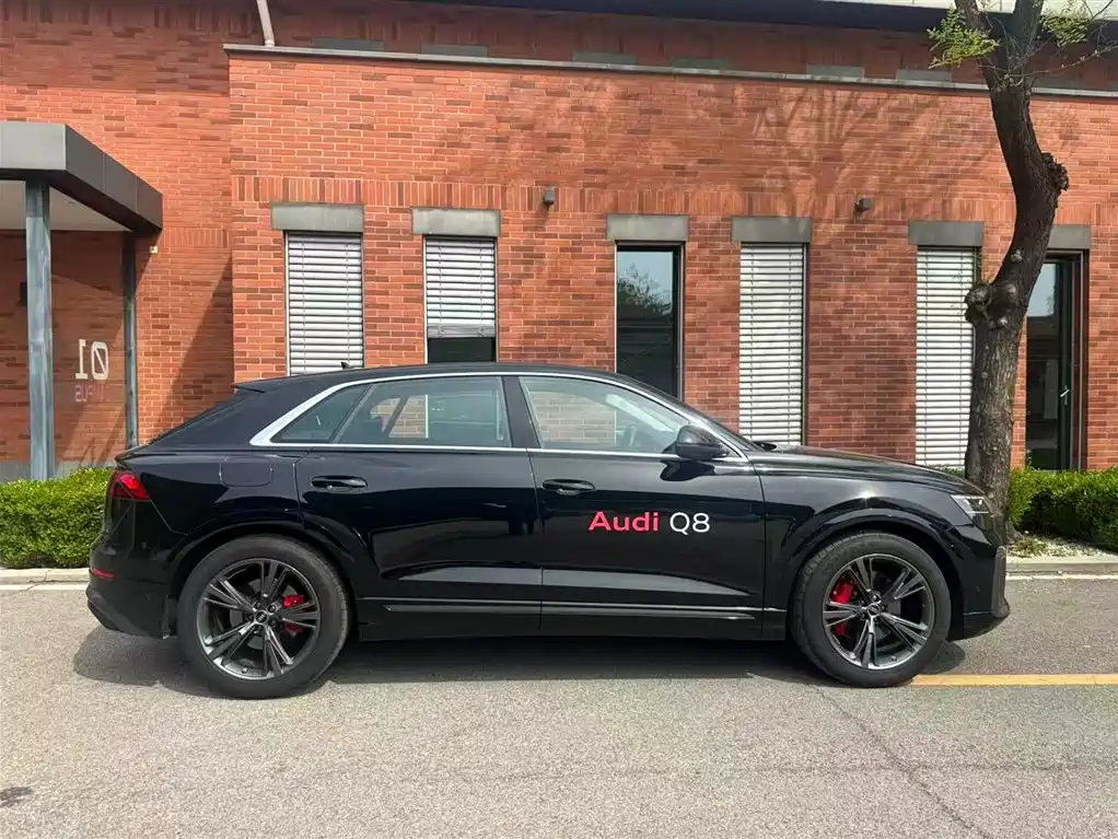 Audi Q8 55 TFSI Luxury Dynamic