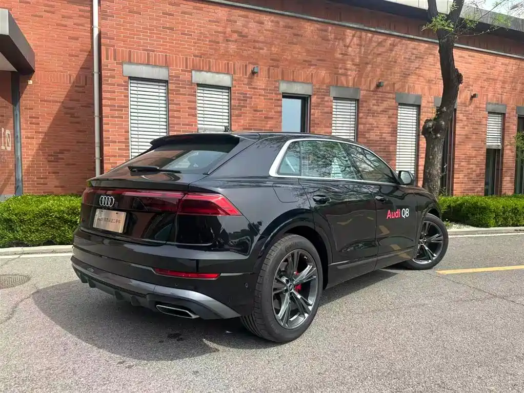 Audi Q8 55 TFSI Luxury Dynamic