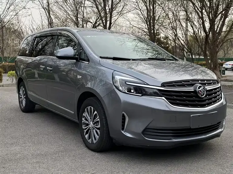 Buick GL8 Land Official Cabin 652 T Luxury