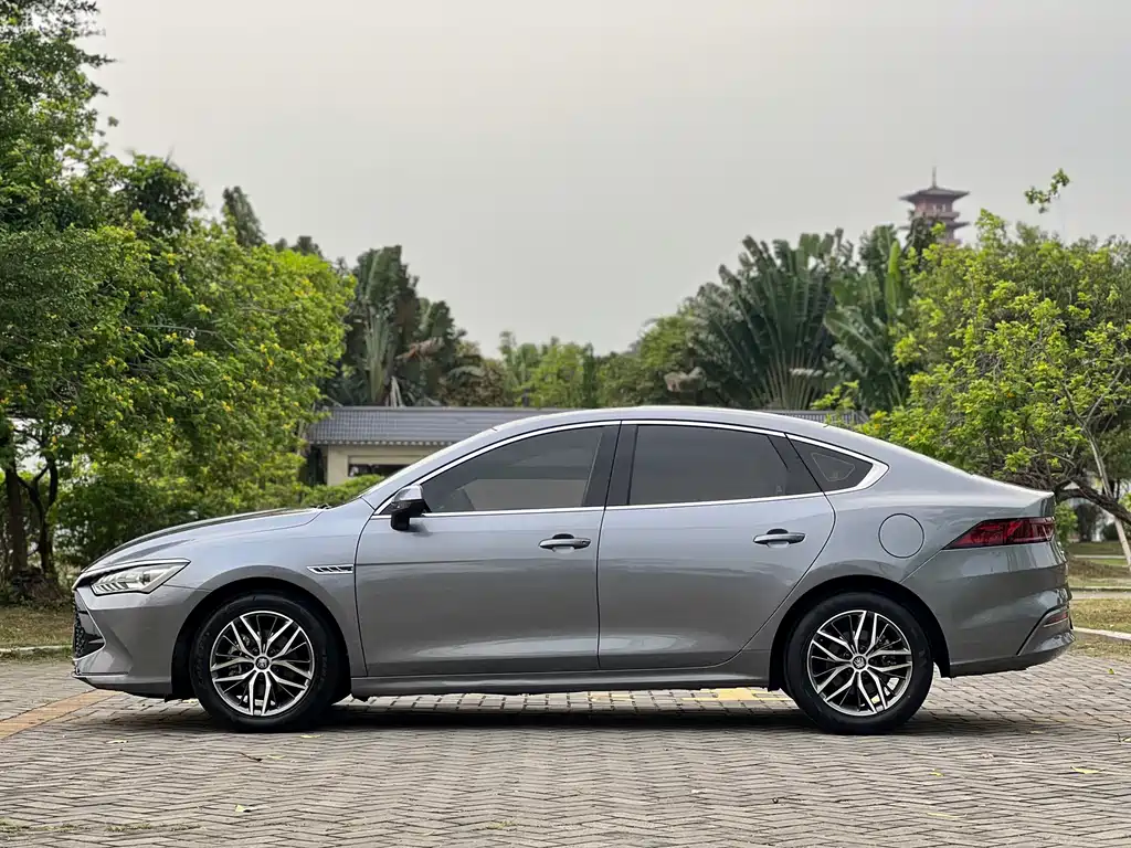 Qin PLUS DM-i 55 KM Flagship