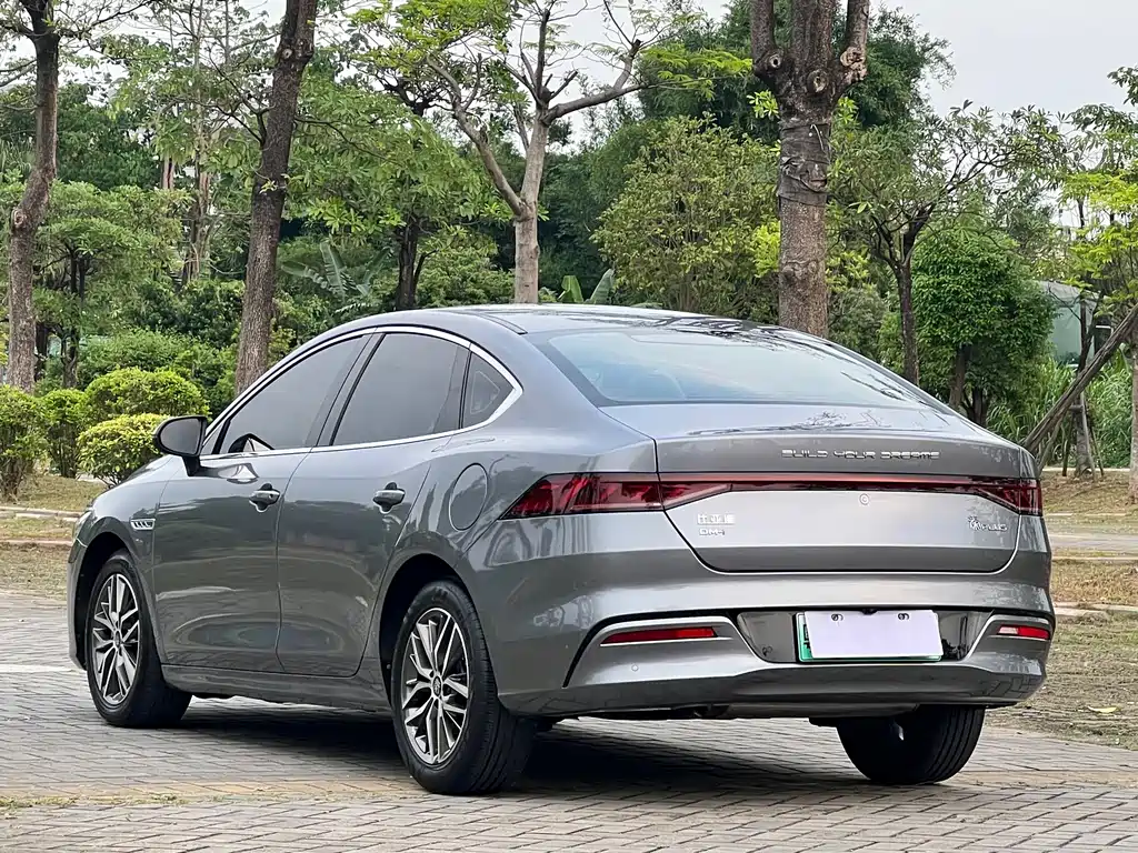 Qin PLUS DM-i 55 KM Flagship