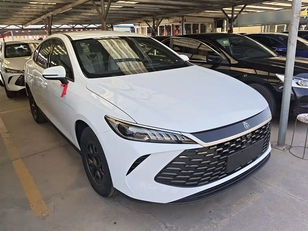 Qin PLUS DM-i Smart Drive 128 KM Progressive