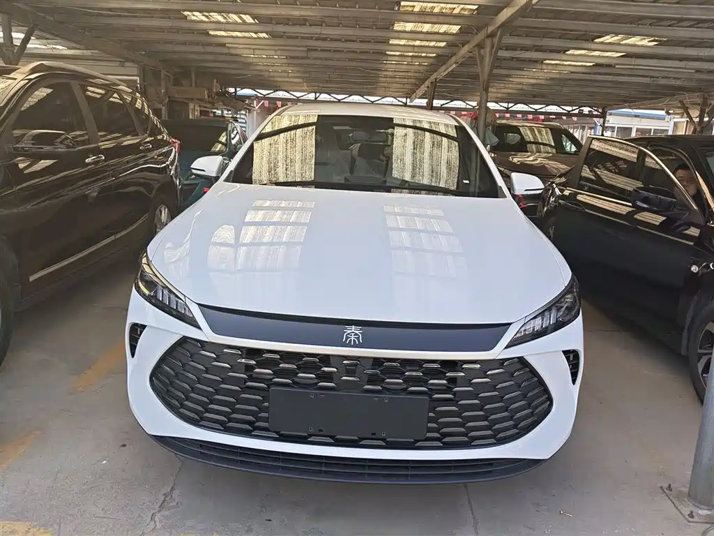 Qin PLUS DM-i Smart Drive 128 KM Progressive