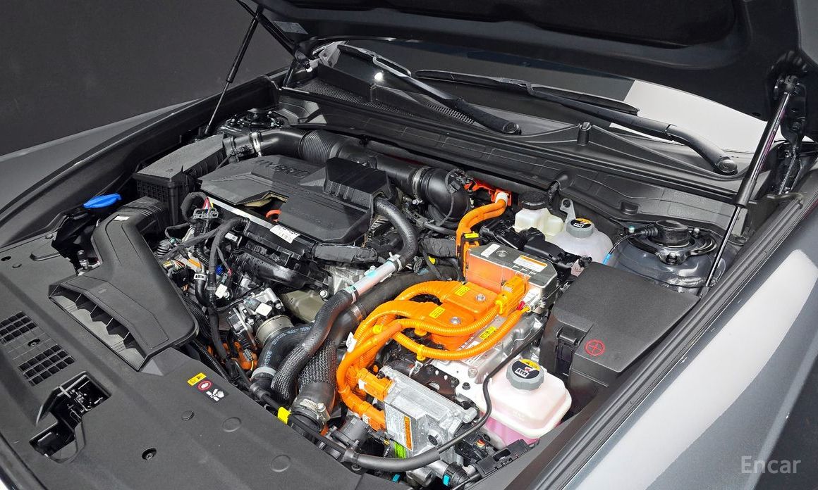 Grandeur Hybrid (GN7)Calligraphy