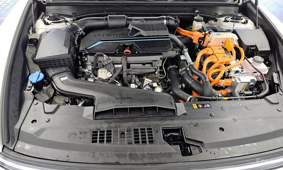 Grandeur Hybrid (GN7)Calligraphy