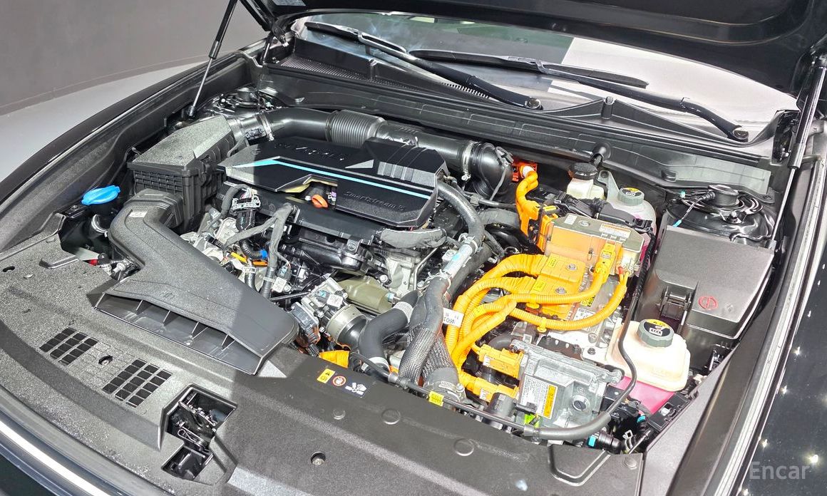 Grandeur Hybrid (GN7)Calligraphy