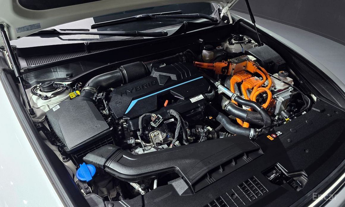 Grandeur Hybrid (GN7)Calligraphy