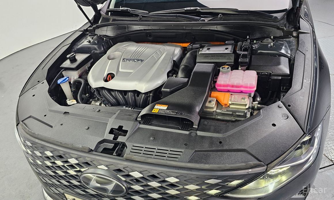 The New Grandeur IG HybridCalligraphy